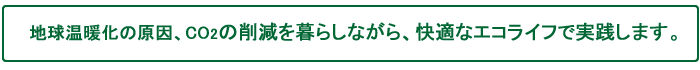 nǧAbnQ̍팸炵ȂAKȃGRCtŎH܂B
